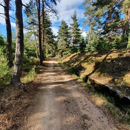 Les Estaou Treillo *