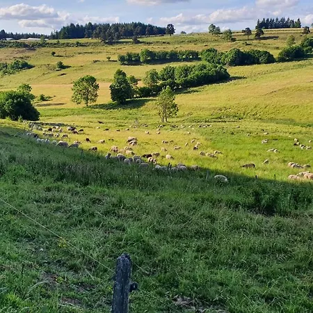Les Estaou Treillo Le Monastier sur Gazeille