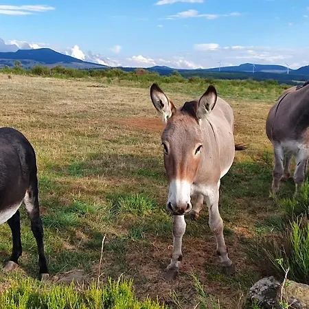 Les Estaou Treillo Дом отдыха *