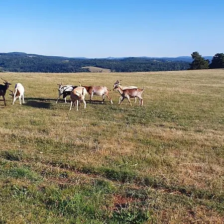 Les Estaou Treillo Prázdninový dům Le Monastier sur Gazeille