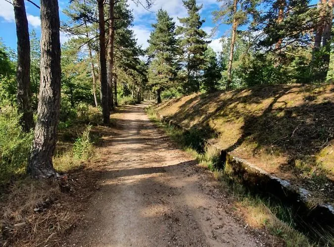 Les Estaou Treillo *