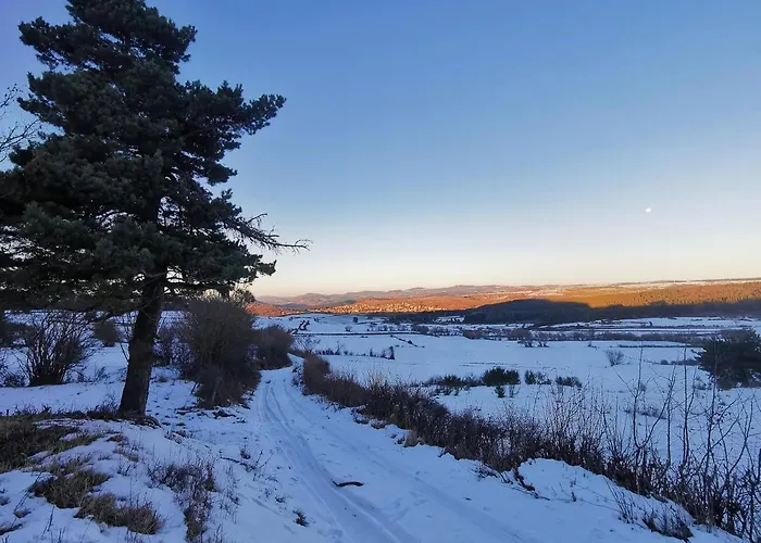 Les Estaou Treillo Дом отдыха